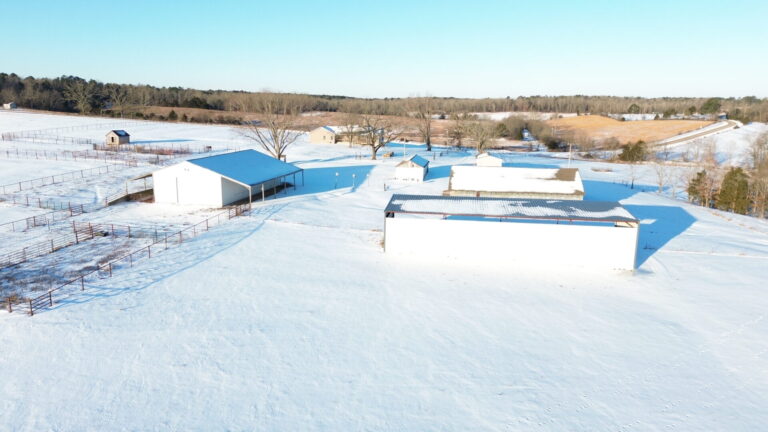 DCIM100MEDIADJI_0483