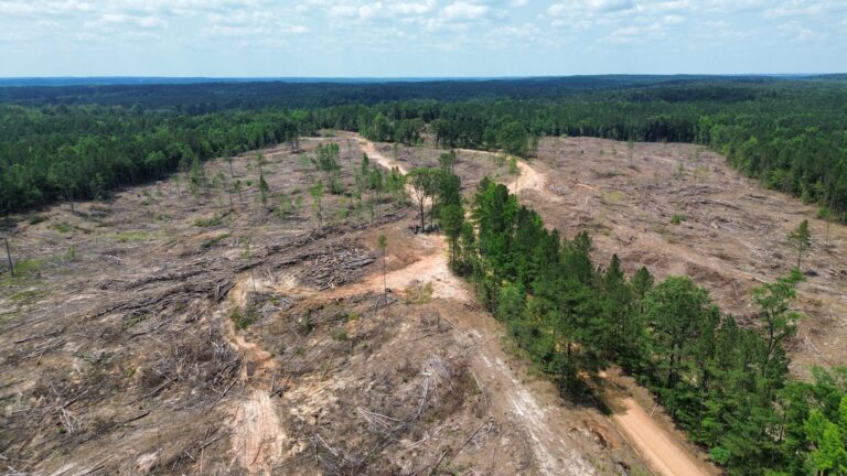 DCIM100MEDIADJI_0794