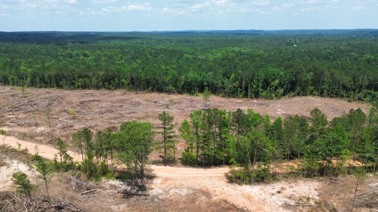 DCIM100MEDIADJI_0806