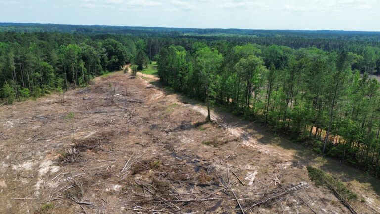 DCIM100MEDIADJI_0828