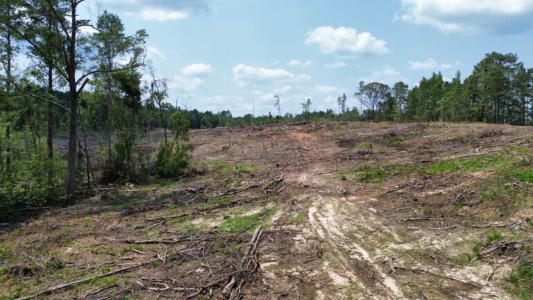 DCIM100MEDIADJI_0846