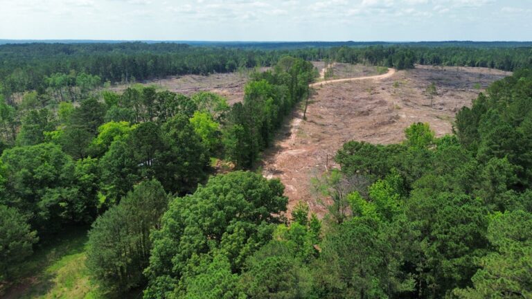 DCIM100MEDIADJI_0857