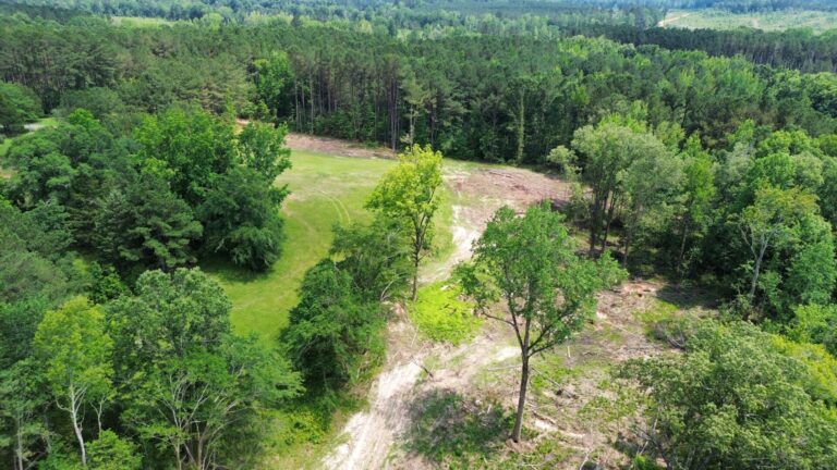 DCIM100MEDIADJI_0865