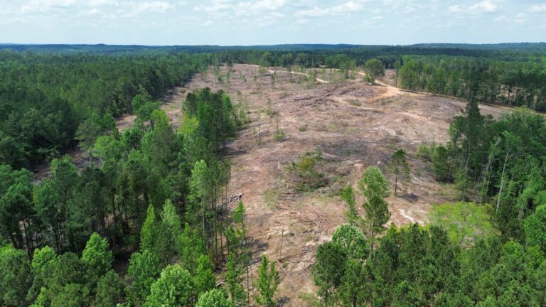 DCIM100MEDIADJI_0869