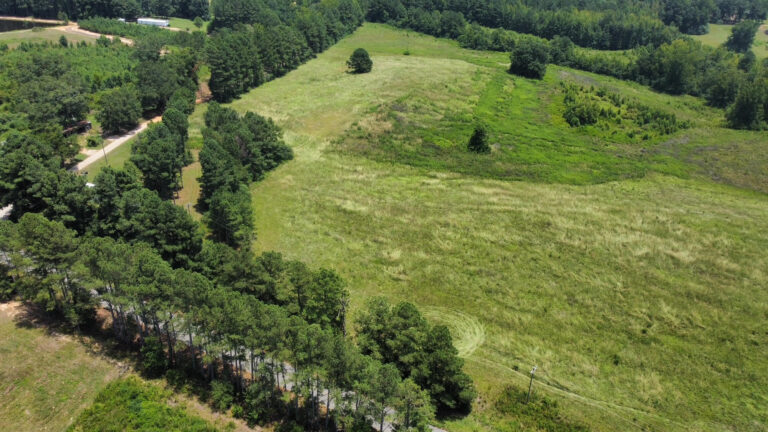 DCIM101MEDIADJI_0853