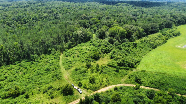 DCIM101MEDIADJI_0821