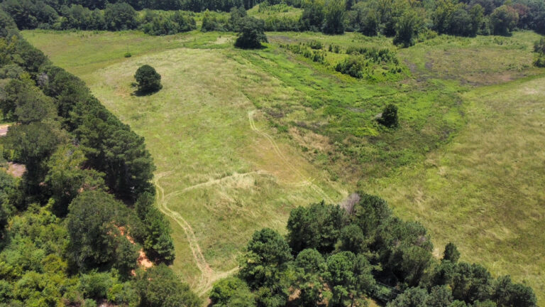 DCIM101MEDIADJI_0854