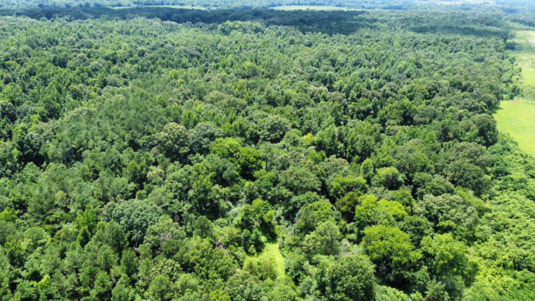 DCIM101MEDIADJI_0822