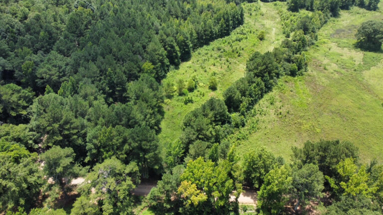 DCIM101MEDIADJI_0855