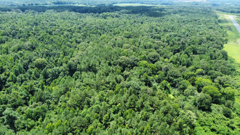 DCIM101MEDIADJI_0823