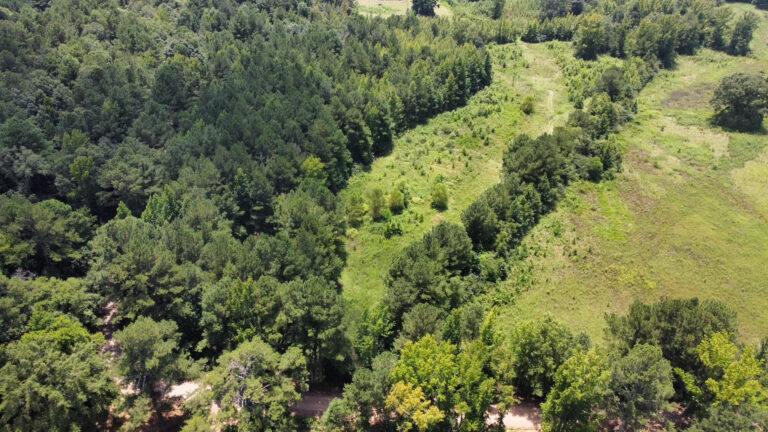 DCIM101MEDIADJI_0856