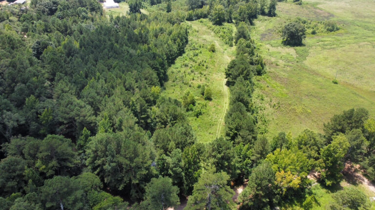 DCIM101MEDIADJI_0857