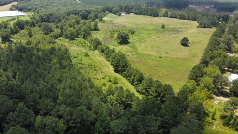 DCIM101MEDIADJI_0858