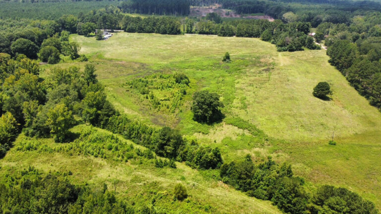 DCIM101MEDIADJI_0859