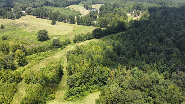 DCIM101MEDIADJI_0860