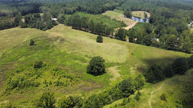 DCIM101MEDIADJI_0862