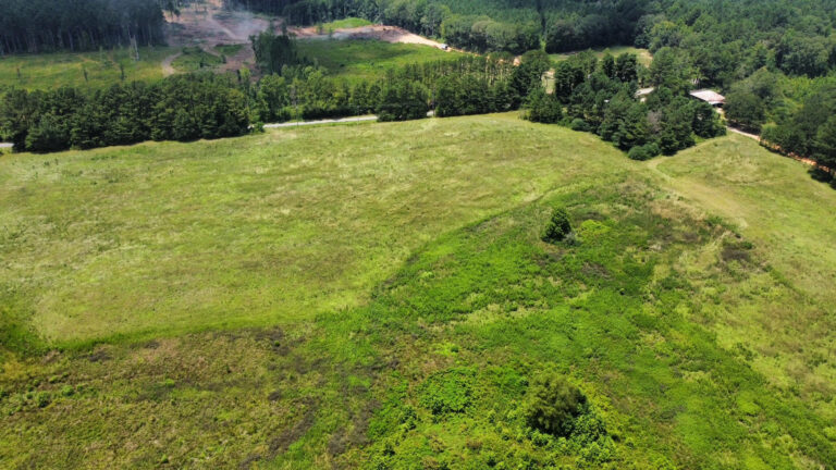 DCIM101MEDIADJI_0863