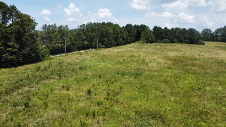 DCIM101MEDIADJI_0867