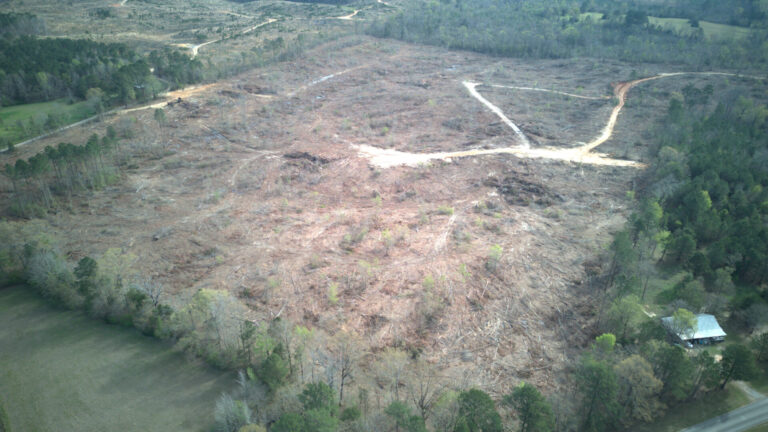dji_fly_20260319_095834_0471_1787322818483_photo (1)