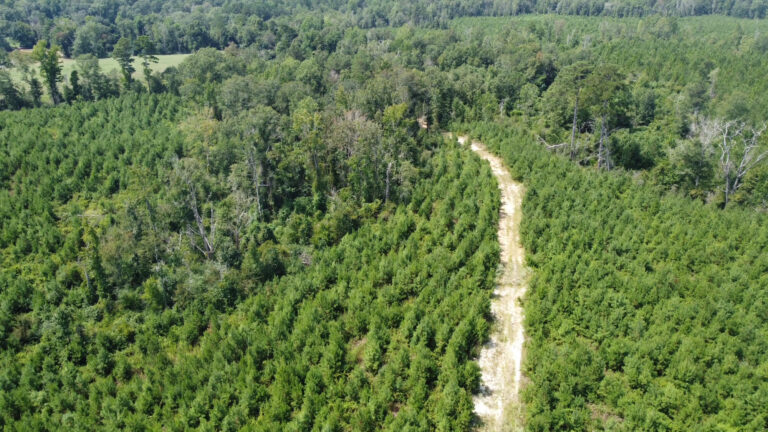 DCIM101MEDIADJI_0884