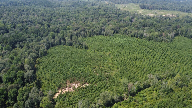 DCIM101MEDIADJI_0886