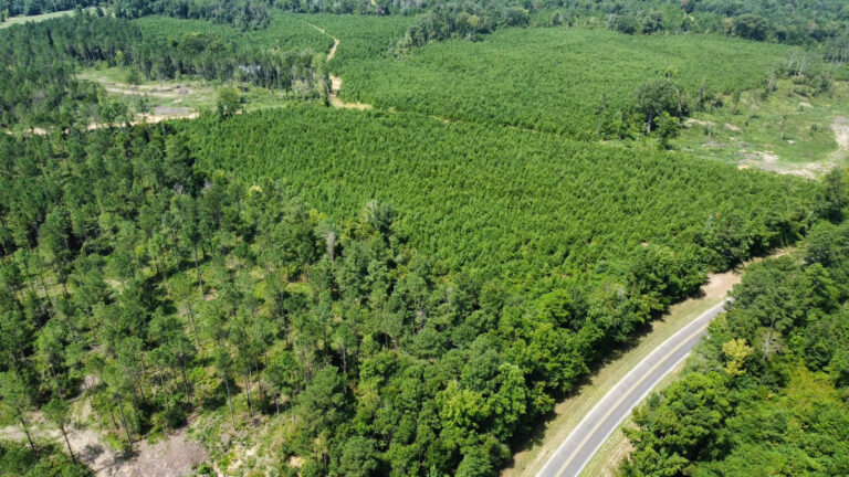 DCIM101MEDIADJI_0896