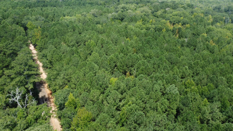 DCIM101MEDIADJI_0880