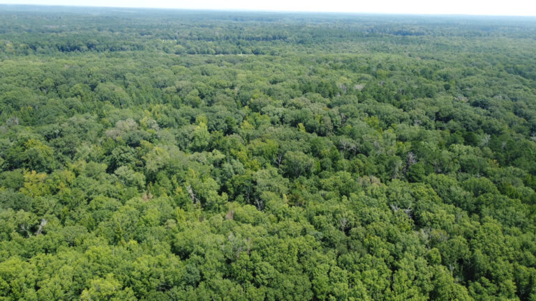 DCIM101MEDIADJI_0881