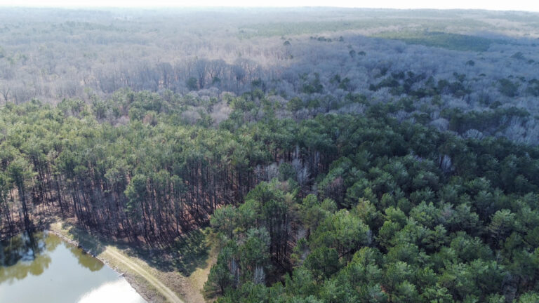 DCIM102MEDIADJI_0324