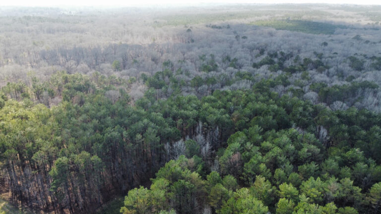 DCIM102MEDIADJI_0325