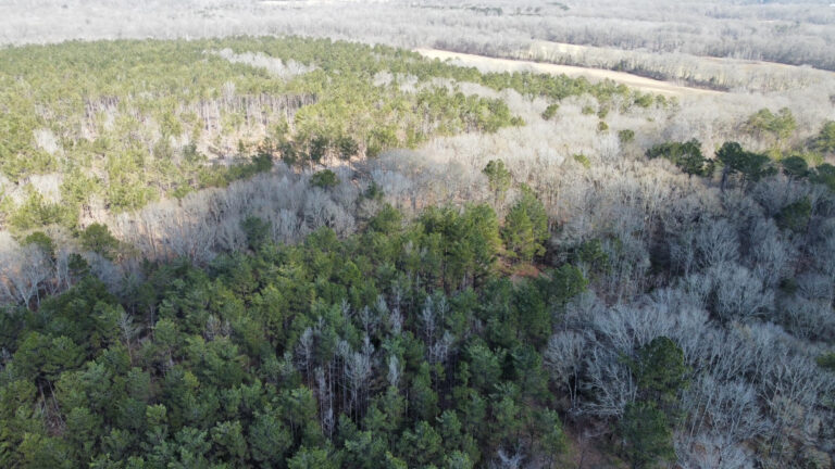 DCIM102MEDIADJI_0326