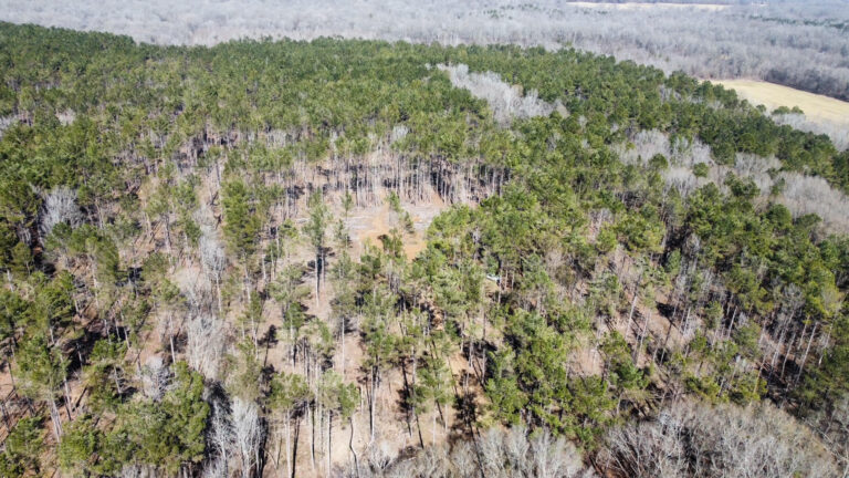 DCIM102MEDIADJI_0329