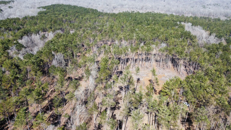 DCIM102MEDIADJI_0330