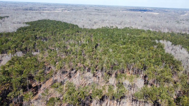 DCIM102MEDIADJI_0331