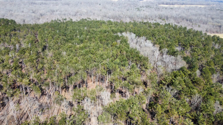 DCIM102MEDIADJI_0332