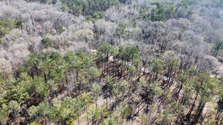 DCIM102MEDIADJI_0333