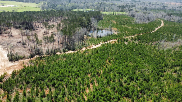 DCIM101MEDIADJI_0700