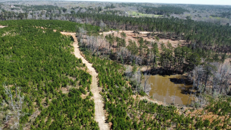 DCIM101MEDIADJI_0702