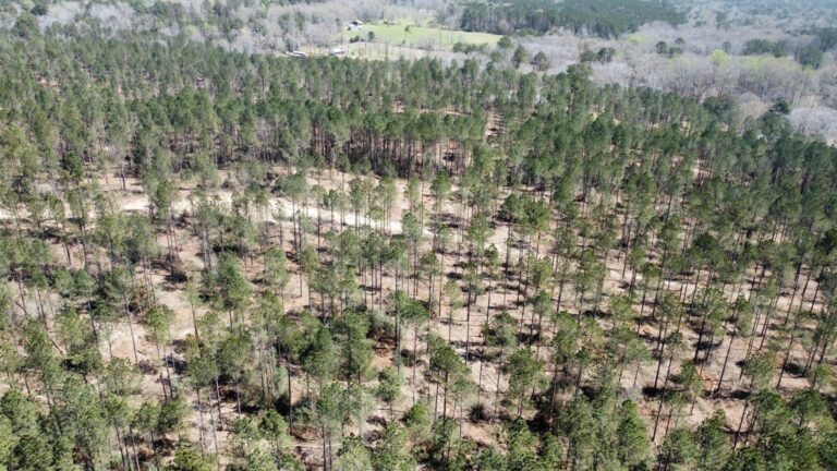 DCIM101MEDIADJI_0704