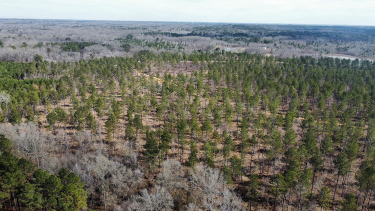 DCIM102MEDIADJI_0269