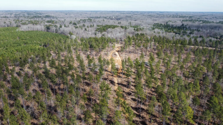 DCIM102MEDIADJI_0270