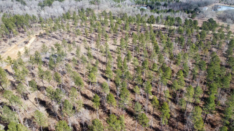 DCIM102MEDIADJI_0271