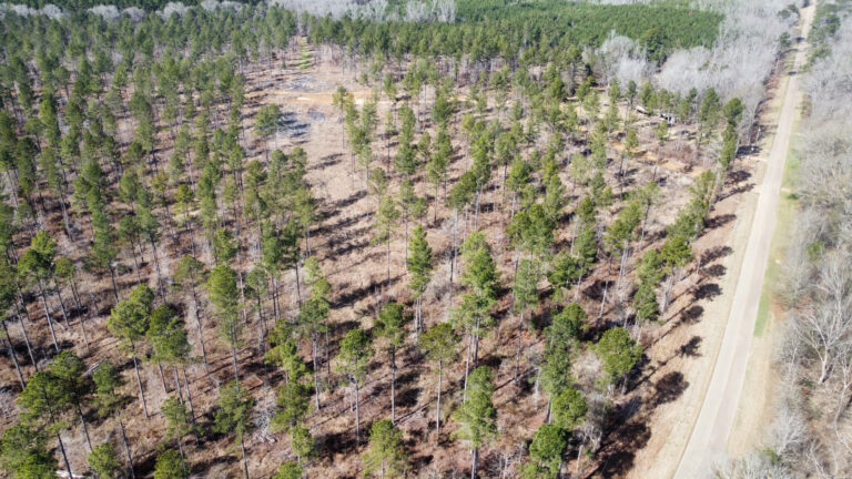 DCIM102MEDIADJI_0272