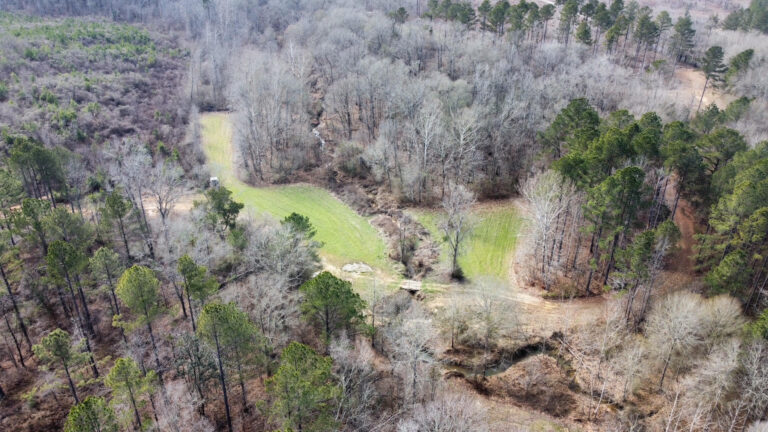 DCIM102MEDIADJI_0280