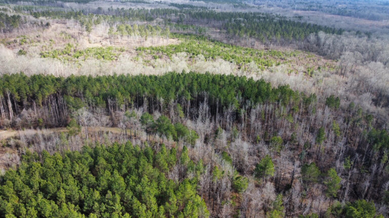 DCIM102MEDIADJI_0292