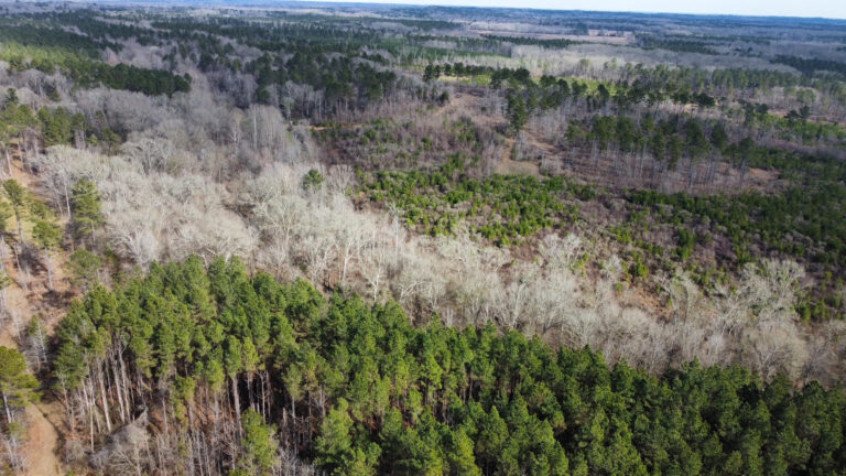 DCIM102MEDIADJI_0293