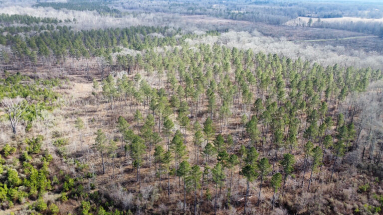 DCIM102MEDIADJI_0295