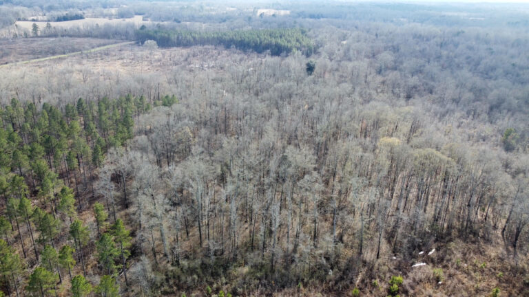 DCIM102MEDIADJI_0296