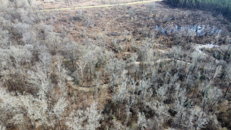 DCIM102MEDIADJI_0298