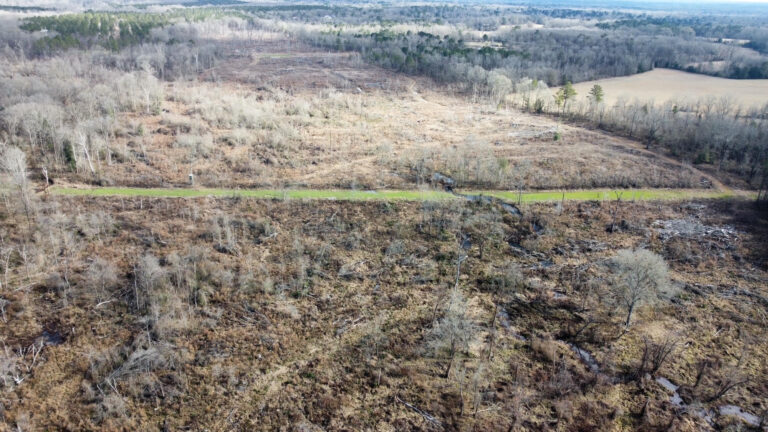 DCIM102MEDIADJI_0300